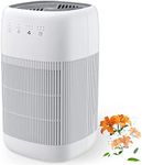Afloia Air Purifier and Dehumidifie