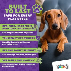 Outward Hound Challenge Slider Dog Puzzle Toy – Interactive Treat Game