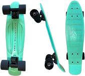 Swell Skateboards 22 inch and 28 Inch Plastic Retro Mini Cruiser Complete Skateboard for Beginners, Boys, Girls, Youths, Teens, Adults, and College Students. (Mint Chip, 22 inch)