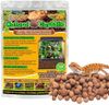 Legigo 10LBS Leca Balls Terrarium Substrate for Reptiles, Organic Lightweight Clay Pebbles Drainage Layer Substrate for Bioactive Terrarium, Expanded Clay Balls Hydro Balls for Reptiles Tank, Plants