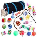 Wefine 22 Pcs Cat Toys for Indoor Kitten, Interactive Cat Kitten Toys Set, Collapsible Cat Tunnel Feather Wand Ball Spring Mice