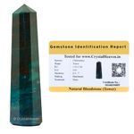 Crystal Heaven Certified Bloodstone Crystal Tower Obelisk Point For Chakra, Healing And Balancing - AAA Grade Original Certified Gemstone Agate For Reiki Meditation Yoga Spiritual (2-3 Inches)