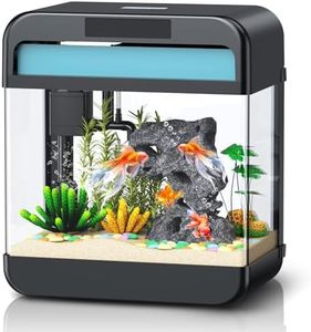 Fish Tank 