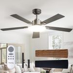 Passky Ceiling Fans with Lights, 52