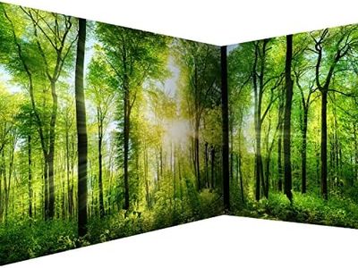 artgeist Wall Mural Peel and Stick Forest 212x98 in - XXL Self-Adhesive Corner Wallpaper Removable Large Sticker Foil Angle Wallpaper Wall Decor Print Landscape Nature Tree Panorama c-A-0058-a-b