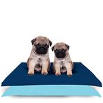 AMORITE Pet Mat | Waterproof Reusable Washable Pee Pads & Hygenic Pet Dry Sheet | Training Pads for All Pet | Size- 70 x 50 Cm Small Combo (Color, Dark Sea Blue + Sea Blue)