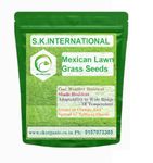 Mexican Lawn Grass Seeds, Cool Weather Resistant, Shade Resistant, Wide Temperature Adaptability, Clump Growth, 1KG Covers 700 sq ft