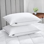bien LIVING Extra Soft Microfiber Filled Plush Pillow, Down Alternative Hypoallergenic Pillow, 17 x 27 Inches, White (Pack of 2)