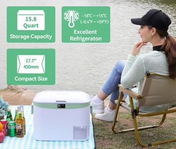 BINGI 18L Portable Car Fridge Freezer – Compressor, 12/24V DC & AC, -18°C to 15°C
