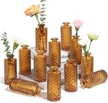 ComSaf Glass Bud Vases Set of 12, S