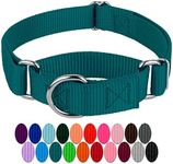 Country Brook Petz Martingale Dog C