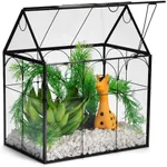 Window Garden Glass Terrarium with Lid - 9x11x6-Inch Indoor Greenhouse Plant Terrarium Decor Planter Dome - Terrarium Kit Tabletop Greenhouse - Plant Accessories Ideal Gift for Nature Lovers