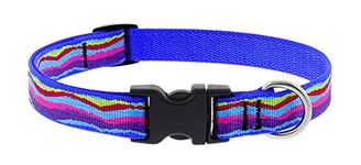 LupinePet Originals Ripple Creek Adjustable Collar for Dogs (3/4" Width; 13-22" Neck)