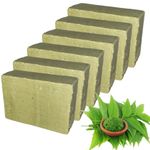 ZALPHARM Organic Neem Soap with Coconut Oil - Handmade Natural Bar Soap for Cleansing & Moisturizing - 100g (PACK OF 6)