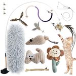Cat Toys for Indoor Cats for Bored,Interactive Cat Toy with Suction Cup, 17Pcs Cat Wand Toy Cat Feather Toys Catnip Toys Cat Nip Toys Cat Chew Toy