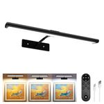 EZVALO Picture Lights for wall, Rechargeable Picture Light with Remote, Dimmable & 3 Color Temps, 180° Adjustable Magnetic Wall Lights for Dartboard Frame Gallery (1 Pack, Black)