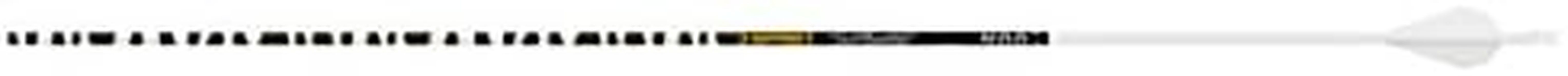 Gold Tip Ted Nugent Arrows with Raptor Vane (Pack of 6), White, 400