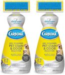 Carbona Oxy-Powered Pet Stain & Odor Remover w/ Active Foam Technology | 22 Fl Oz, 2 Pack