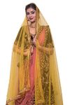 faith visit Women's Net Embroidered Shimmer Lace Dupatta, free size