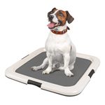 IRIS USA Pee Pad Holder, Square Puppy Pad Holder, Secure Latches, Non-Skid Feet, High Polish Finish for Easy Cleaning, Leak Protection, Indoor Potty Tray, Fits 50.8 x 50.8 cm Pad or Larger, Dark Gray