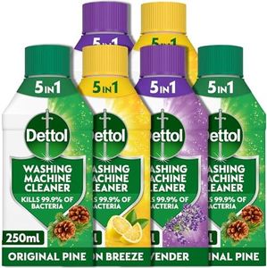 Dettol Ant