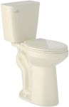 Simple Project 21 Inch High Toilet 