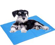 Dog Cooling Mat 25x 20” Cat Bed Pet Rabbit Puppy Self Cooling Mat Non-Toxic, Cool Summer Essentials Chill Pads for Bed Human Animal, Cold Sleep Mattress Crates Accessories for Travel