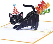 ROBBEAR Funny Cat Pop Up Birthday C