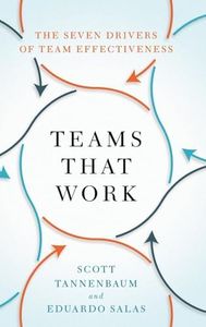 Teams That Work: The Seven Drivers of Team Effectiveness