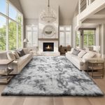 Ophanie Area Rugs 9x12 Living Room,
