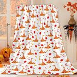 JOOCAR Fox Throw Blanket Autumn Forest Animal Fox Fall Leaf Blanket Cozy Soft Lightweight Flannel Plush Blankets for Bed Couch Living Room Sofa Chair,50x60 Inch