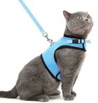 PUPTECK Soft Mesh Cat Vest Harness and Leash Set Puppy Padded Pet Harnesses Escape Proof for Cats Small Dogs, Blue Large