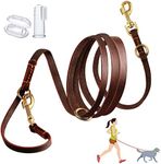 DOG CARE Hands Free Dog Leash, Mult