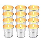 Hausware Citronella Candles Outdoor Indoor - 2.5 oz Scented Candles Set 12 Pack Natural Soy Wax citronella Candles for Garden Patio Yard Home Balcony Camping Backyard