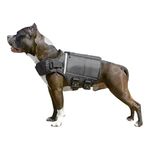 XDOG Weight & Fitness Vest for Dogs - A Weighted Dog Vest Used to Build Muscle, Improve Performance, Combat Obesity & Anxiety - Improve Your Dog's Overall Health & Exercise. (Large, Black)