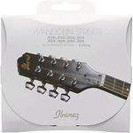 Ibanez Mandolin Strings 10-34