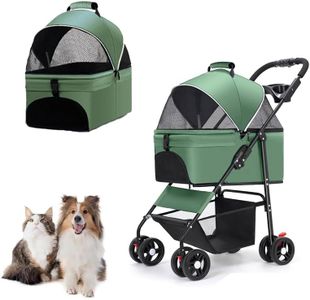 MINYII Pet