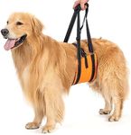 Avont Dog Lift Harness - Upgraded Dog Sling for Large Dogs Hind Leg Support, Lifting Aid with Handle and Straps for Hip Dysplasia, Canines Lifter Support Harness for Elderly Dogs -Orange (L)