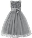 JerrisApparel Little Girls' Sequin Mesh Flower Ball Gown Party Dress Tulle Prom (3T, Silver Grey)