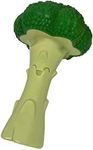 NYLABONE Broccoli Dog Toy Power Che