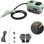 2500W Portable Steam Cleaner, High Temperature Steamer for Cleaning Bed Bugs, steam cleaner for mattress, Car Detailing, Couch,Furniture, Upholstery, Kitchen, Bathroom, Grout and Tile(Green)