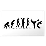 CafePress Evolution Capoeira Rectangle Bumper Sticker Car Decal