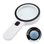 Hand Held Magnifying Glass With Light