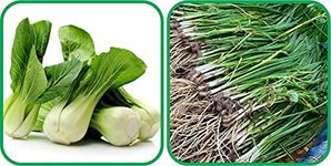 Aero Seeds Garlic Chives (50 Seeds) And Pak Choi (50 Seeds) Vegetable Seeds Pack