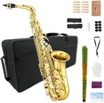 WUQIMUSC Alto Saxophone Beginner Ki