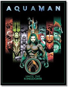 Desperate Enterprises DC Aquaman United - Targa in metallo vintage nostalgico - Made in USA