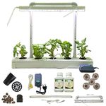 Home Fresh Hydroponics Kit for Home - Home Pipe Indoor - 5 Planter Indoor DWC Hydroponic System - Leafy Greens - DIY - Beginner Kit - Reusable - All Inclusive kit - Indoor