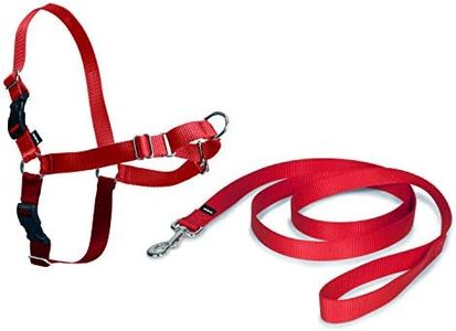 PetSafe Easy Walk - Arnés para Perros pequeños, medianos o Grandes, Correa de 1,8 m, Talla M, Color Rojo