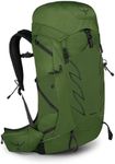 Osprey Talon 33 Men's Hiking Backpa