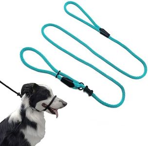 Multifunctional Figure 8 Padded Head Halter Walking Training Leather Stopper Slip Lead Dog Rope Leash (Turquoise)